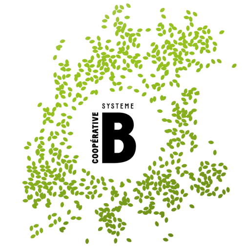 Logo de système-B